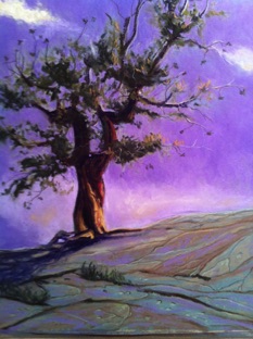 Tenacious
pastel on paper
SOLD 🔴 Tenacious
pastel on paper
SOLD 🔴
